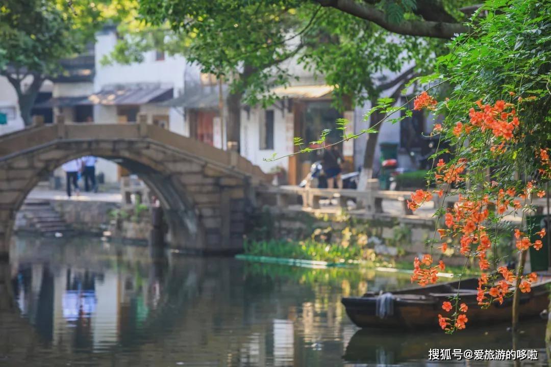漂亮鹦鹉救援